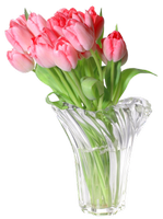 pink tulips in a vase